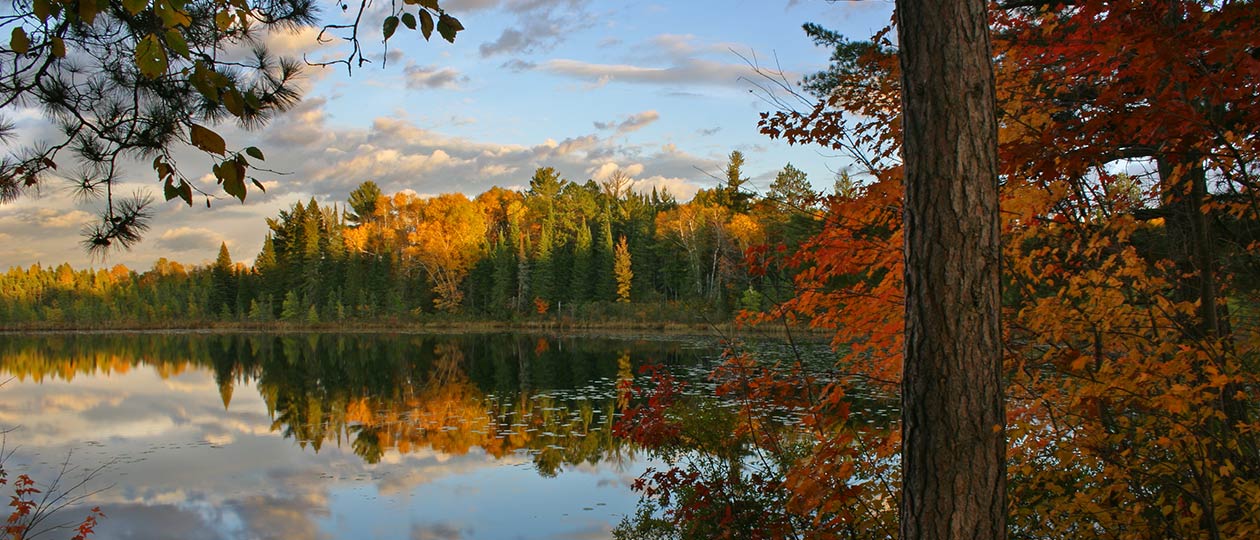 Sturgeon Lake Real Estate